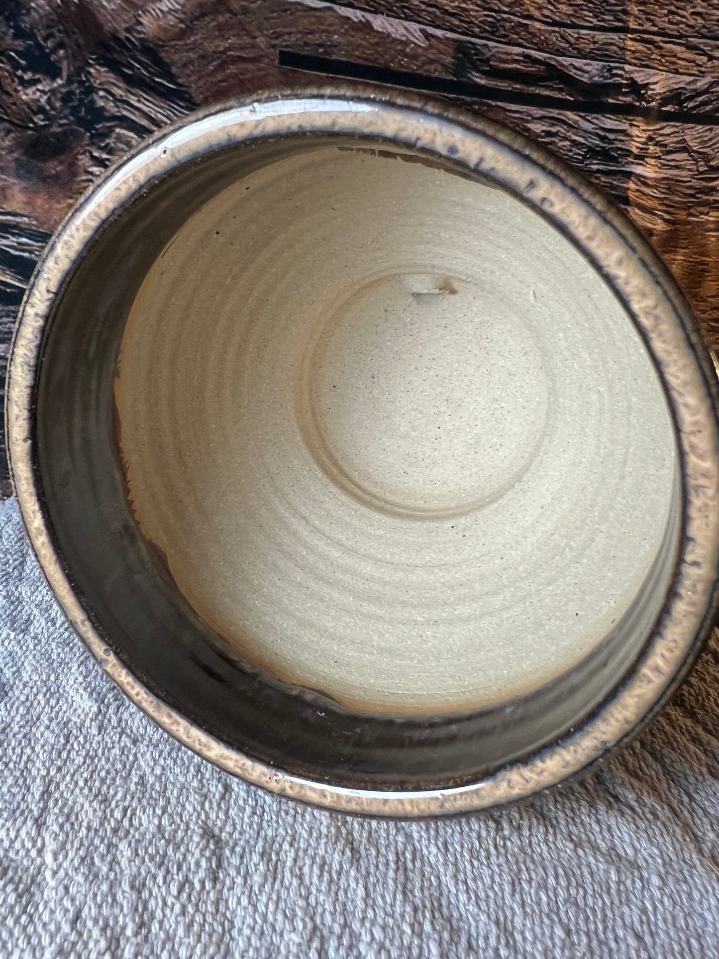 Planter pot with Attached Drain Tray