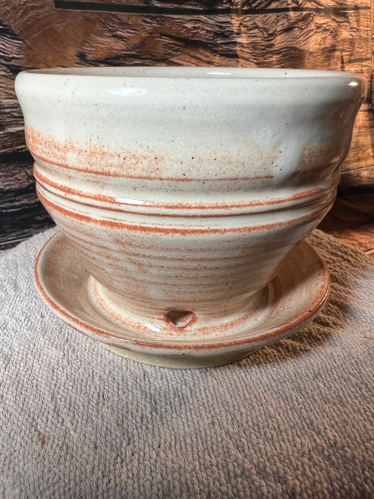 Planter Pot with Attached Tray